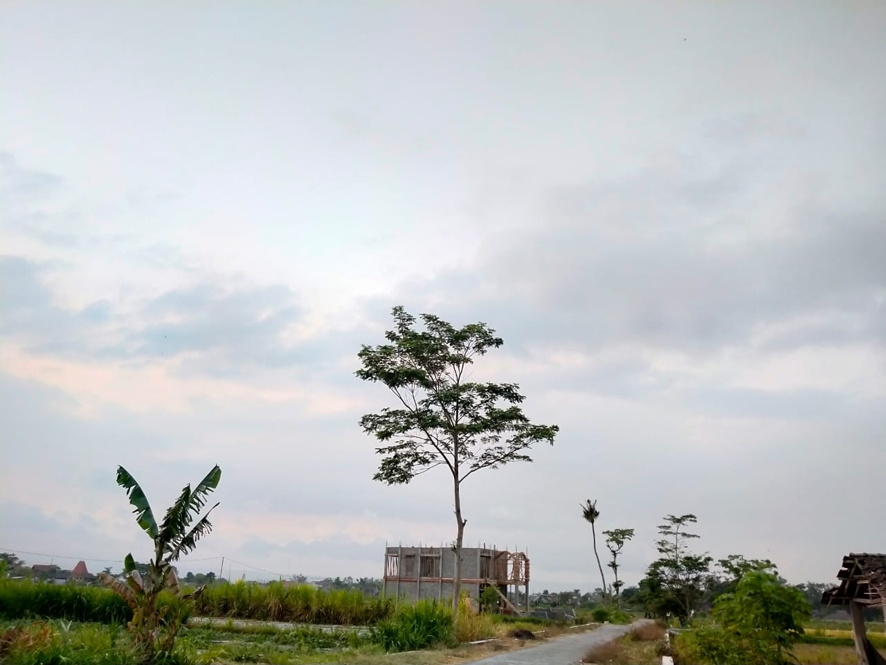 Mindful Walking #1 ; Merayakan Matahari Terbit